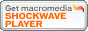 Shockwave Player_E[hTCg