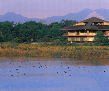 愛知県生涯学習情報提供システム 施設 弥富野鳥園 愛知県生涯学習情報提供システム 施設 弥富野鳥園