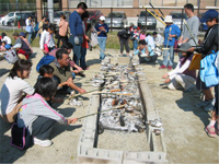 GRp