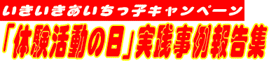 qLy[ǔ̓vH񍐏W