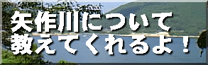 ɂ ĂI