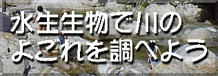 Ő 悲𒲂ׂ悤