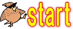 start NbNI