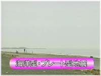 海洋型・プレート型