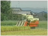 大型機械の導入