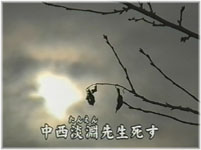 W搶̎