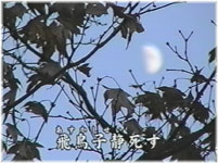飛鳥子静の死