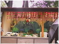 守綱神社の花の撓