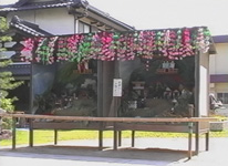 雲龍寺の花の撓