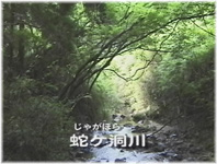 փ