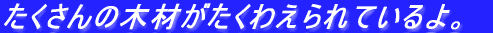 ̖؍ނ킦ĂB