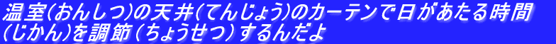 ̓ṼJ[eœƎԁiɂ傤j𒲐߁i傤j