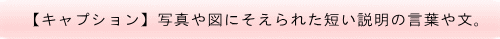 【キャプション】写真や図にそえられた短い説明の言葉や文。